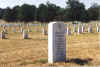 Charles Edward Neubaum grave.jpg (1430779 bytes)