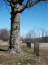 entrance-emanuel-cemetery-lewisberry-york-co-pa.jpg (341530 bytes)
